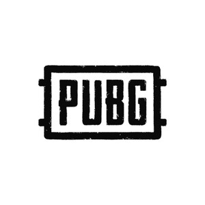 PUBG Brand Image